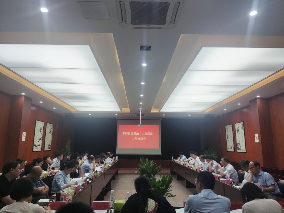2024年7月17日，市國資委系統(tǒng)在公司開展“三組聯(lián)建”現(xiàn)場觀摩（推進(jìn)會）_副本